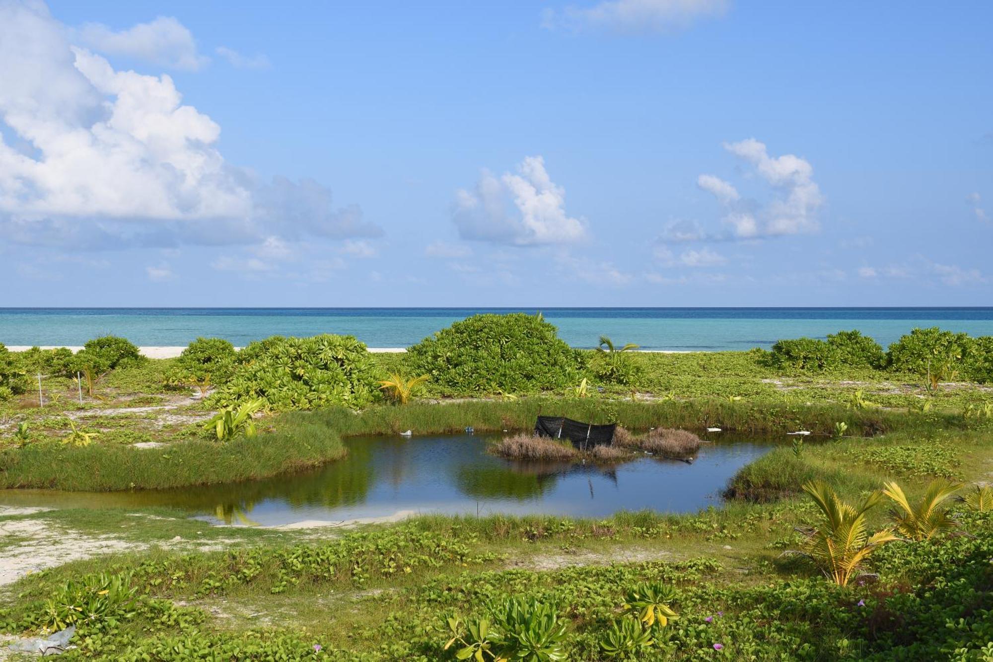 Empyrean Stay, Maldives 萨勒斯度岛 外观 照片